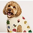Show in main carousel: Found My Animal Fall Leaves Dog Sweater, X-Large slide 6 of 8