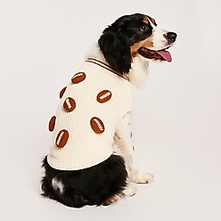 Found My Animal Football Dog Sweater, Small