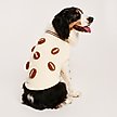 Show in main carousel: Found My Animal Football Dog Sweater, X-Small slide 1 of 6