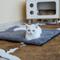 Show in main carousel: Mora Pets Self-Warming Cat Bed with Removable Cover, Dark Grey, Small slide 9 of 11