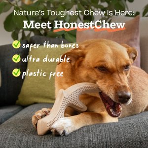 Woof HonestChew Antler Hard Density All-Natural Food Grade Dog Chew Toy, Ivory, Large