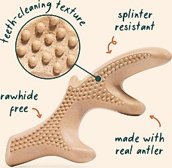 Woof HonestChew Antler Hard Density All-Natural Food Grade Dog Chew Toy, Ivory, Small slide 2 of 9