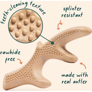 Woof HonestChew Antler Hard Density All-Natural Food Grade Dog Chew Toy, Ivory, Large