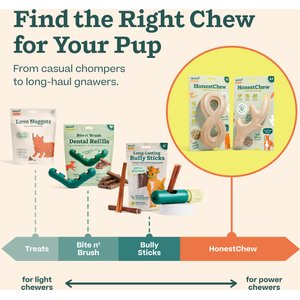 Woof HonestChew Antler Hard Density All-Natural Food Grade Dog Chew Toy, Ivory, Large