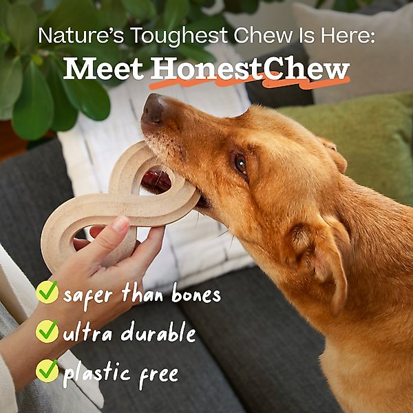 Show full view: Woof HonestChew Infinity Hard Density All-Natural Food Grade Dog Chew Toy, Ivory, Small slide 4 of 10