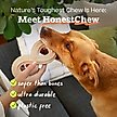 Show in main carousel: Woof HonestChew Infinity Hard Density All-Natural Food Grade Dog Chew Toy, Ivory, Small slide 4 of 10