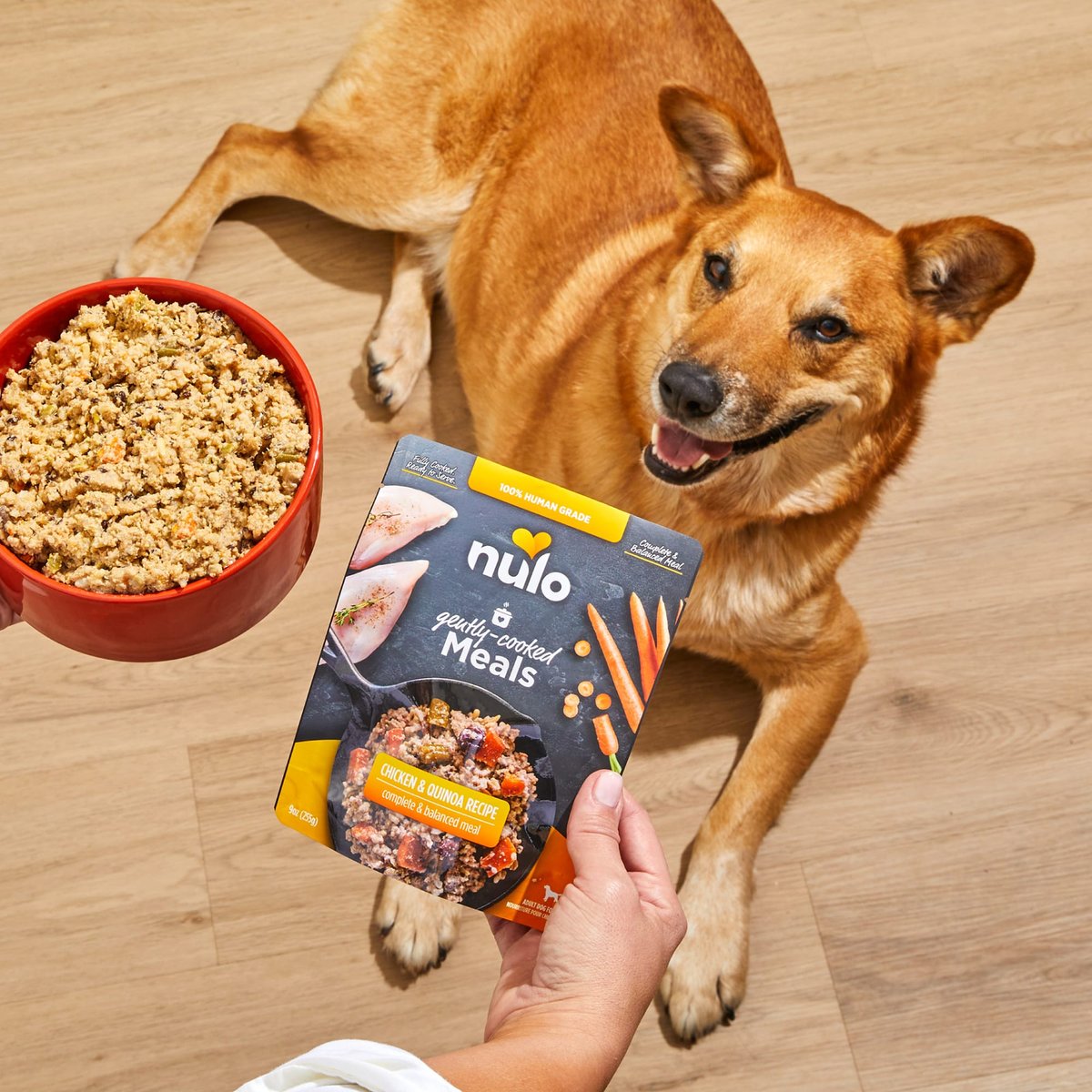 NULO Gently-Cooked Meals Chicken Quinoa Recipe Wet Dog Food,