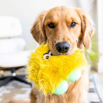 Show full view: West Paw Rolf Rowdies Durable Squeaky Plush Dog Toy, Citrus slide 4 of 11