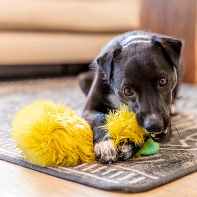 Show full view: West Paw Astrid Rowdies Durable Squeaky Plush Dog Toy, Citrus slide 3 of 8