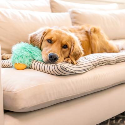 Show full view: West Paw Helga Rowdies Durable Squeaky Plush Dog Toy, Seafoam slide 4 of 9