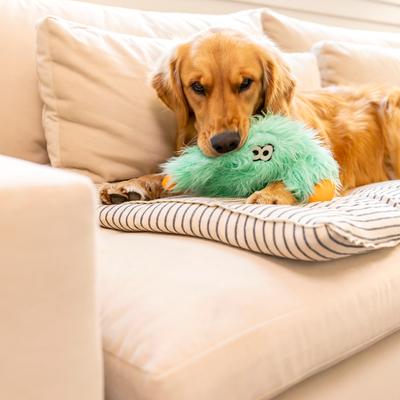 Show full view: West Paw Helga Rowdies Durable Squeaky Plush Dog Toy, Seafoam slide 3 of 9