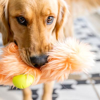 Show full view: West Paw Olaf Rowdies Durable Squeaky Plush Dog Toy, Melon slide 4 of 9