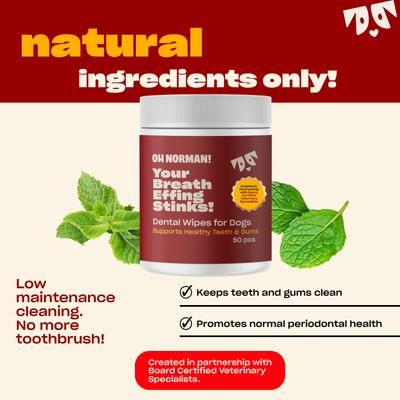 Show full view: OH NORMAN Your Breath Effing Stinks Dog Dental Wipes, 50 count slide 3 of 11