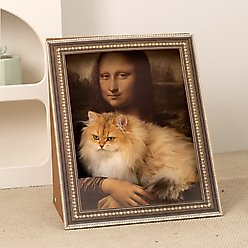 Happy & Polly Mona Lisa 3D 19.4-in Cat Scratcher & Bed