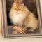 Show in main carousel: Happy & Polly Mona Lisa 3D 19.4-in Cat Scratcher & Bed slide 3 of 11