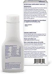 Virbac Rebound Recuperation Formula for Cats slide 2 of 2