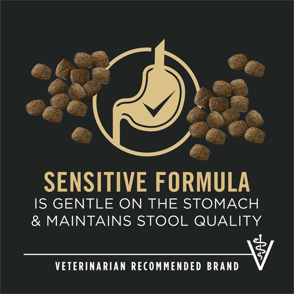Purina Pro Plan Sensitive Skin & Stomach 7+ Salmon & Rice Formula Dry Dog Food