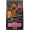 Show in main carousel: Purina Pro Plan Sensitive Skin & Stomach 7+ Salmon & Rice Formula Dry Dog Food, 16-lb bag slide 1 of 12