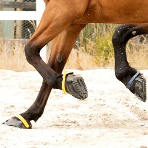 Scootboot Hoof Boot, Black, 3, 2 count