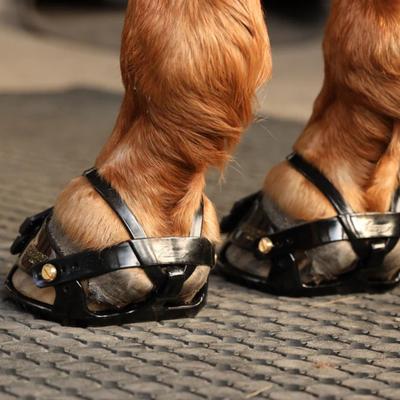 Show full view: Scoot Boot Enduro Hoof Boot, Black, 2 slide 3 of 6