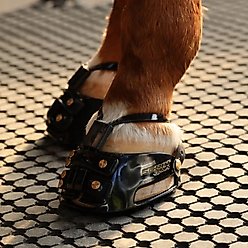 Scoot Boot Enduro Hoof Boots, Black, 2, 2 count slide 2 of 6