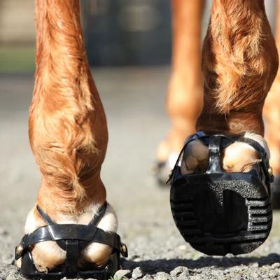 Show full view: Scoot Boot Enduro Hoof Boots, Black, 00, 2 count slide 2 of 6