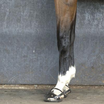 Show full view: Scoot Boot TheraRide Hoof Boot, Black, 2, 1 count slide 3 of 4