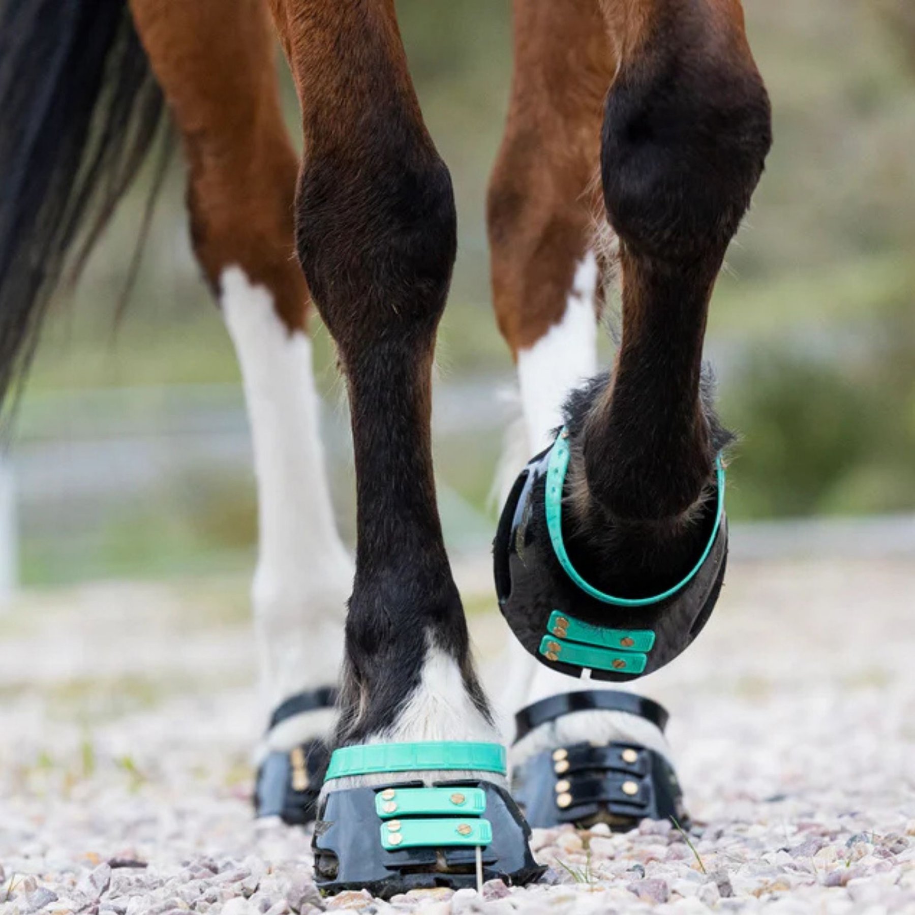 Scootboot Pastern Strap, Marine, X-Large, 4 count