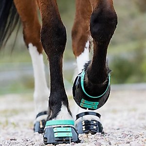 Scoot Boot Pastern Strap, Marine, Medium, 4 count