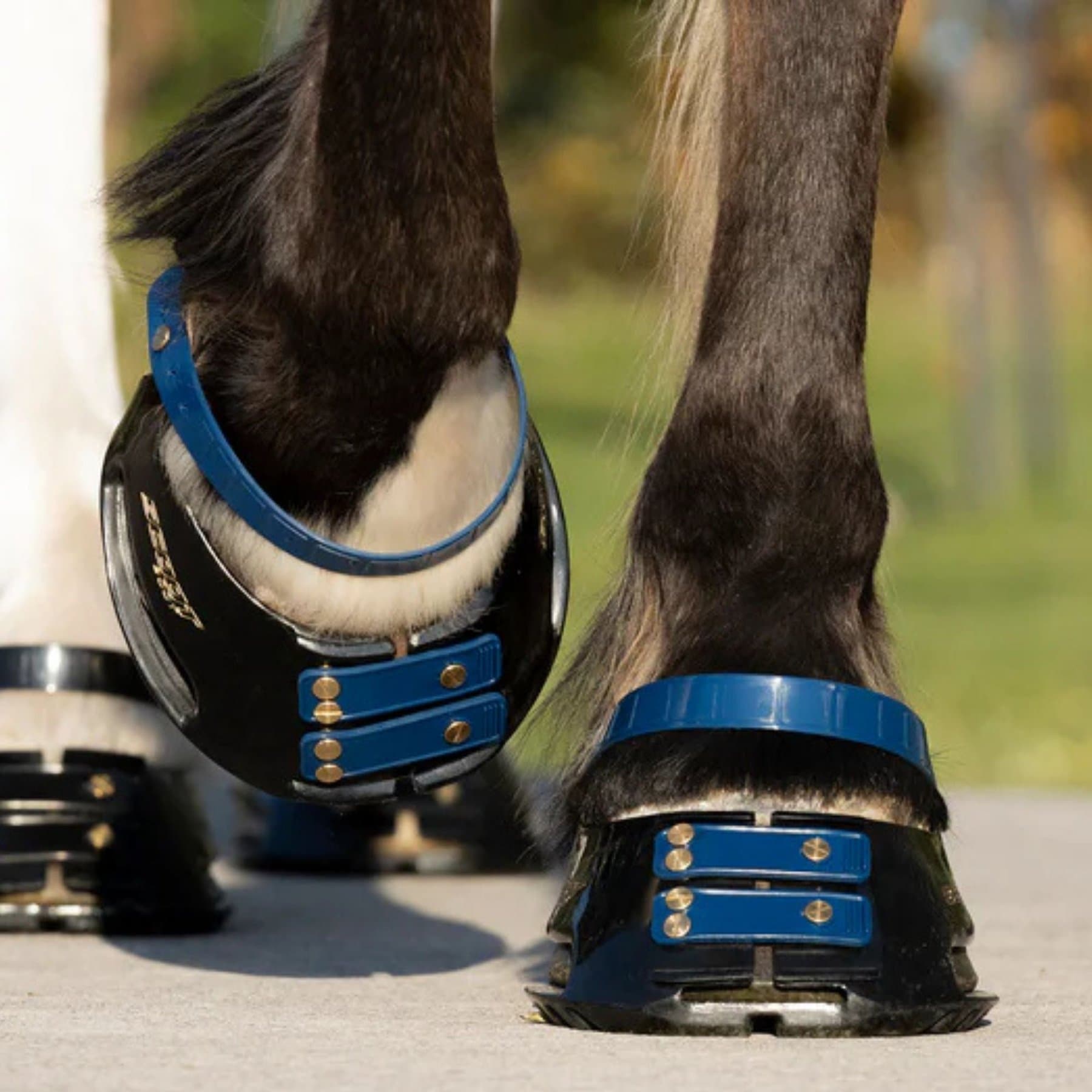 Scootboot Pastern Strap, Navy, Medium, 4 count