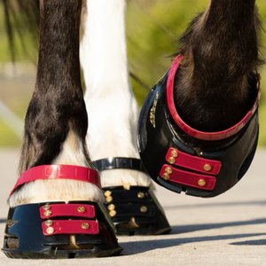 Scoot Boot Pastern Strap, Mulberry, Medium, 4 count