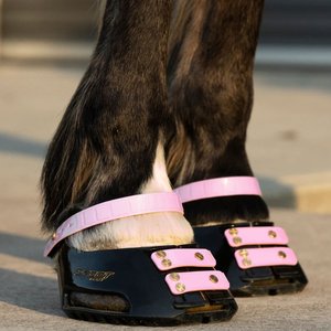 Scoot Boot Pastern Strap, Blossom, Medium, 4 count