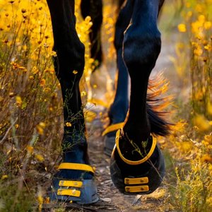 Scoot Boot Pastern Strap, Marigold, Large, 4 count