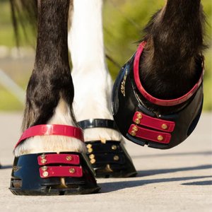 Scoot Boot Pastern Strap, Mulberry, Large, 4 count