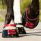 Show in main carousel: Scoot Boot Pastern Strap, Mulberry, Large, 4 count slide 1 of 4