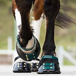 Scootboot Pastern Strap, Emerald, Large, 4 count