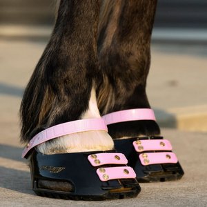 Scoot Boot Pastern Strap, Blossom, Large, 4 count