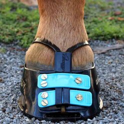 Scoot Boot Mud Straps Pack, Black, X-Large