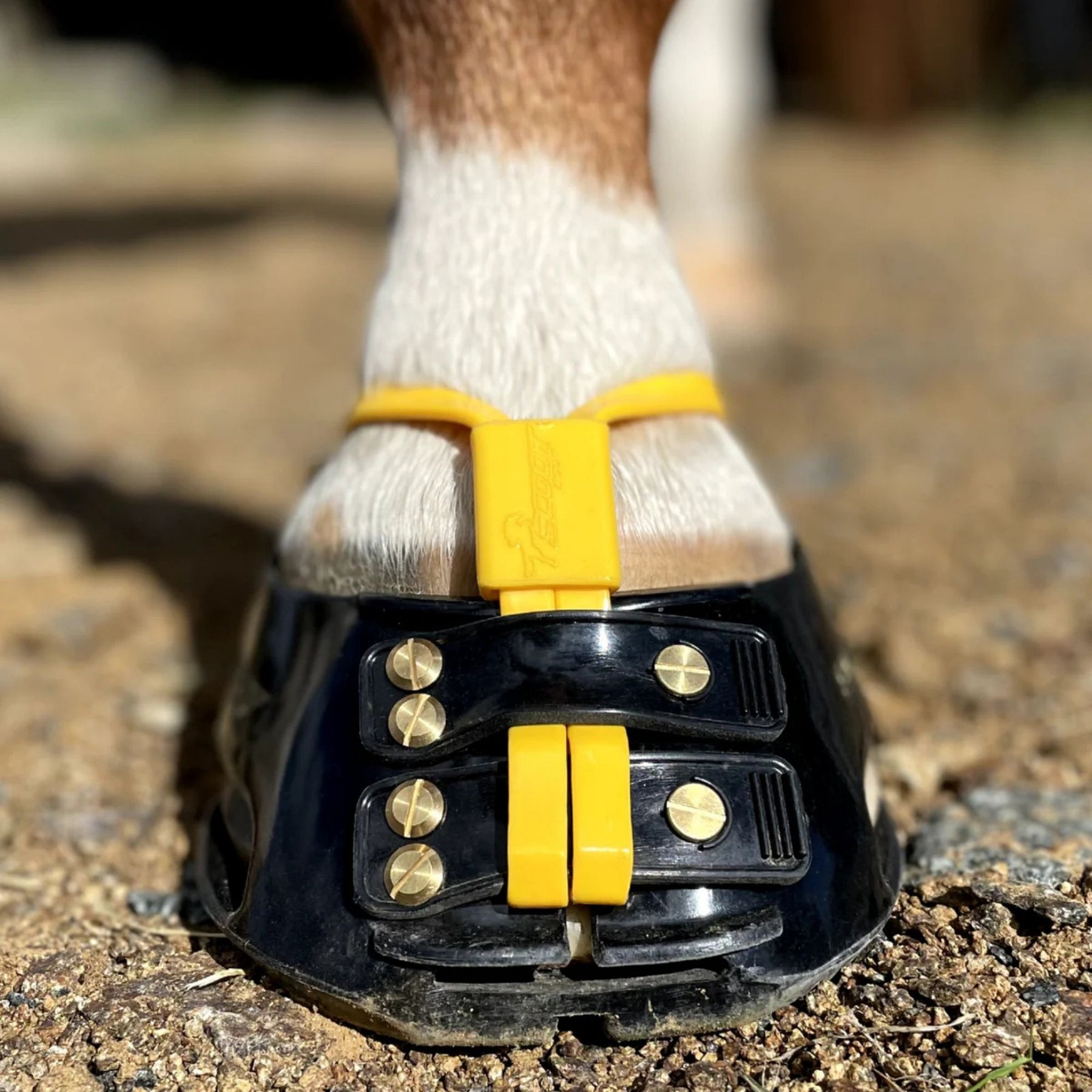 Scootboot Mud Straps Pack, Marigold, X-Large