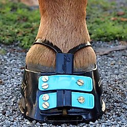 Scoot Boot Mud Straps Pack, Black, Large