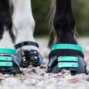 Scoot Boot Front Strap, Marine, 6 count