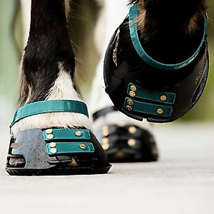 Scoot Boot Front Strap, Emerald, 6 count