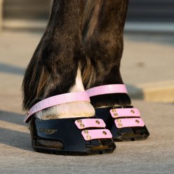 Scoot Boot Front Strap, Blossom, 6 count