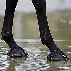 Scoot Boot Front Strap, Black, 6 count