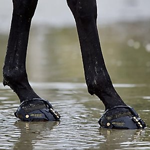 Scoot Boot Front Strap, Black, 6 count