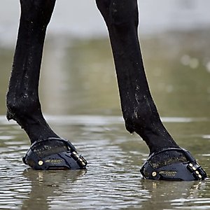 Scoot Boot Front Strap, Long, Black, 6 count