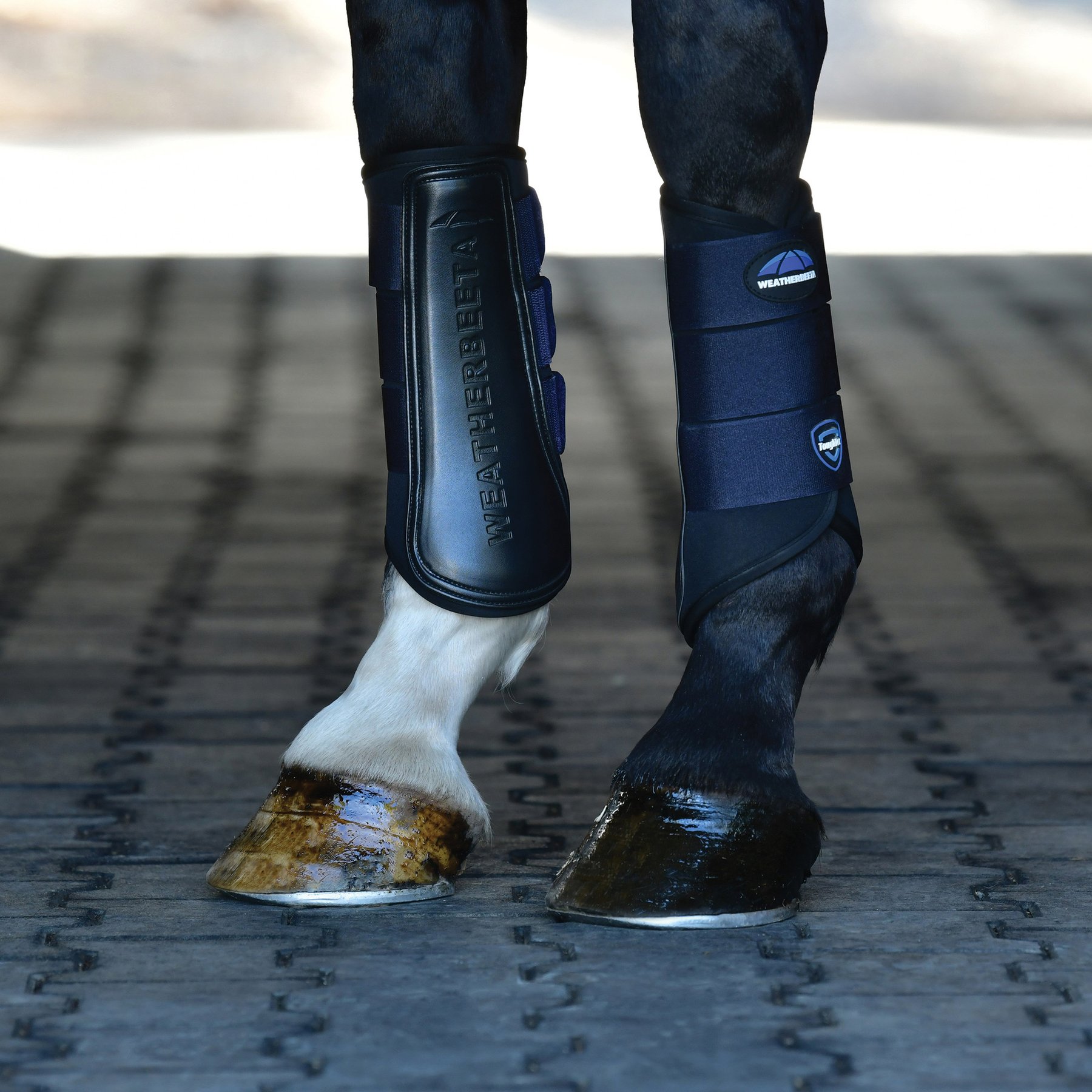 WeatherBeeta Tough-Tec Prime Brushing Horse Boots, Black/Navy, Medium