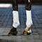 Show in main carousel: WeatherBeeta Tough-Tec Hard Shell Dressage Horse Boots, White, Medium slide 2 of 9