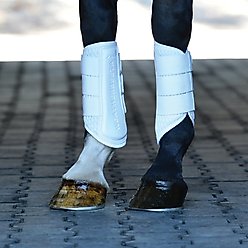 WeatherBeeta Tough-Tec Mesh Brushing Horse Boots, White/White, Large