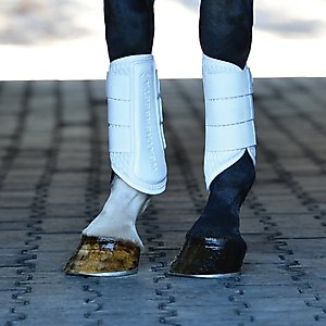 WeatherBeeta Tough-Tec Mesh Brushing Horse Boots, White/White, Large